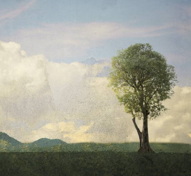 istock Hackberry tree in landscape with mountains and cloudy sky. Copy space. 1048258696