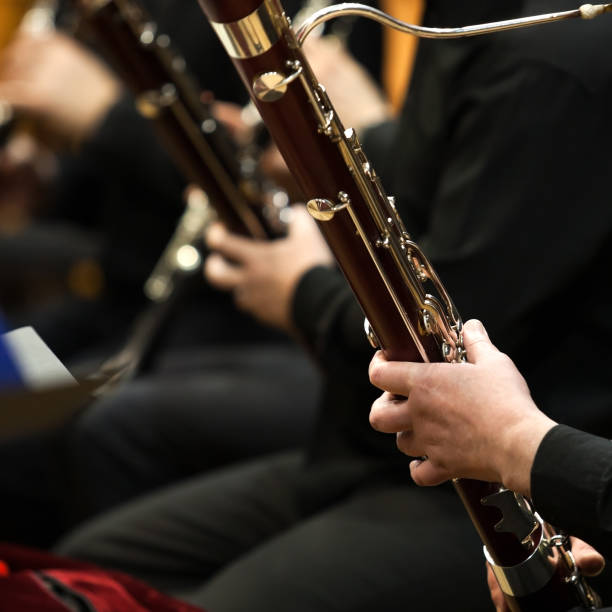 istock Bassoons in the orchestra 1048259300