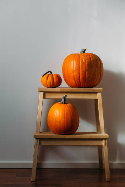 istock Autumn decoration on white with copy space. Pumpkins 1048282070