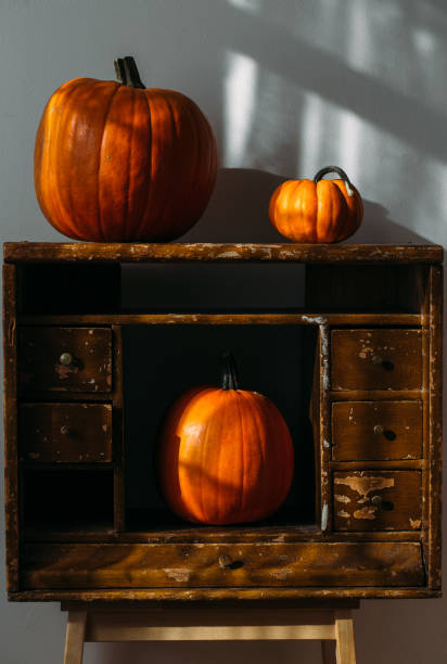 istock Autumn decoration on white with copy space. Pumpkins 1048282600