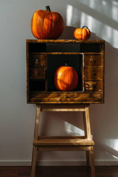 istock Autumn decoration on white with copy space. Pumpkins 1048282988