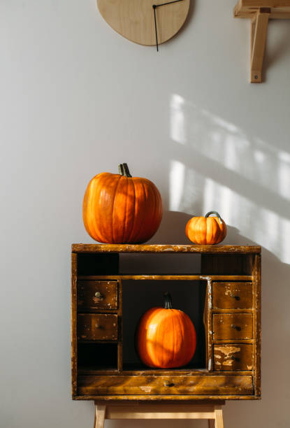 istock Autumn decoration on white with copy space. Pumpkins 1048283050