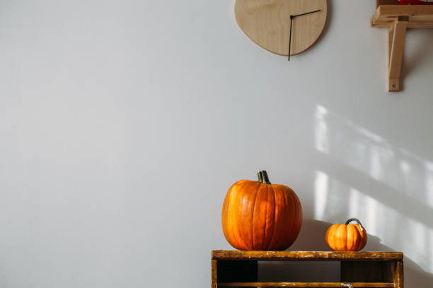 istock Autumn decoration on white with copy space. Pumpkins 1048283178