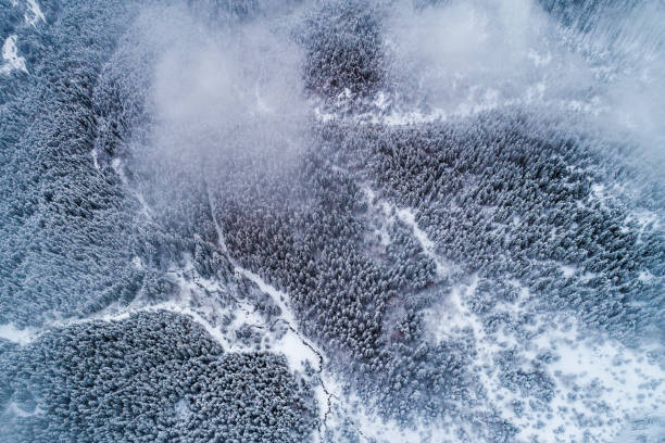 istock Aerial Flight Trees at Morning Peaks 1048283190