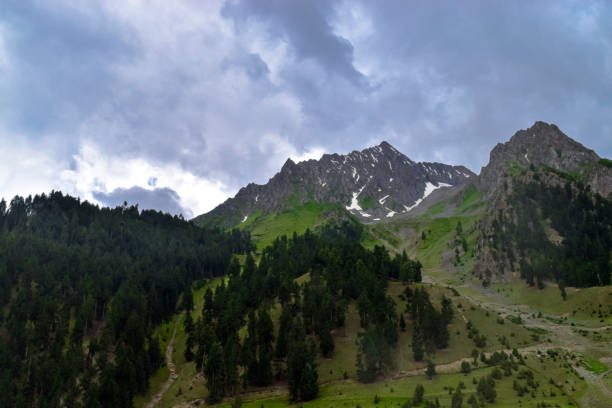 istock Beautiful forest on mountains with smoky clouds in Gilgit Pakistan 1048288582