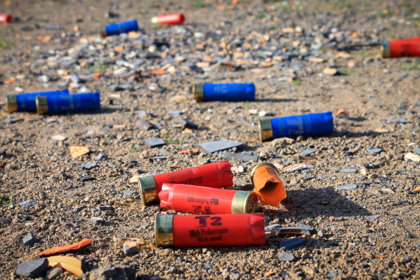 istock Empty Shotgun cartridges on ground 1048293650