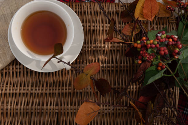 istock set of picnic basket with tea 1048294572