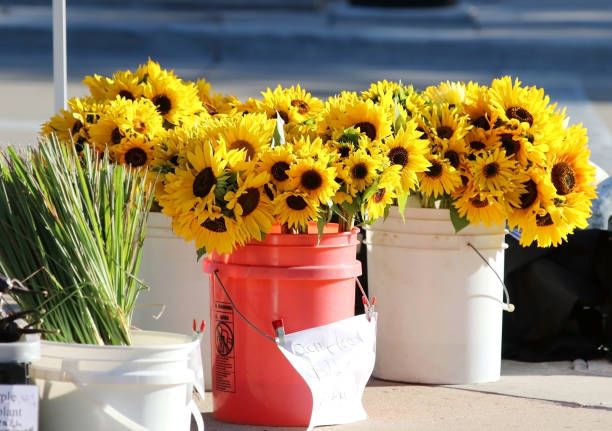 Farmers market goods display.