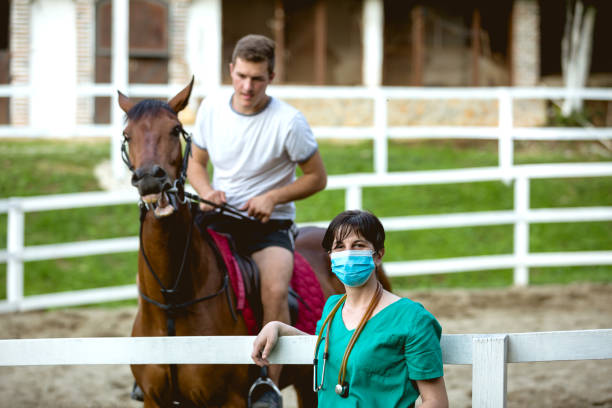 istock Vet and horse 1048299008