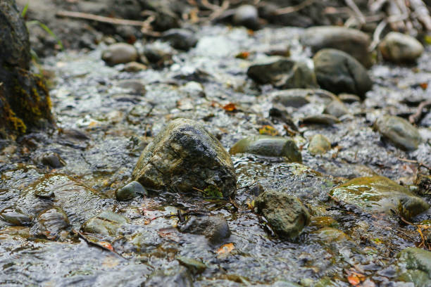 Transparent river with stones, stream, current, in the daytime in the open air, in summer or spring, texture
