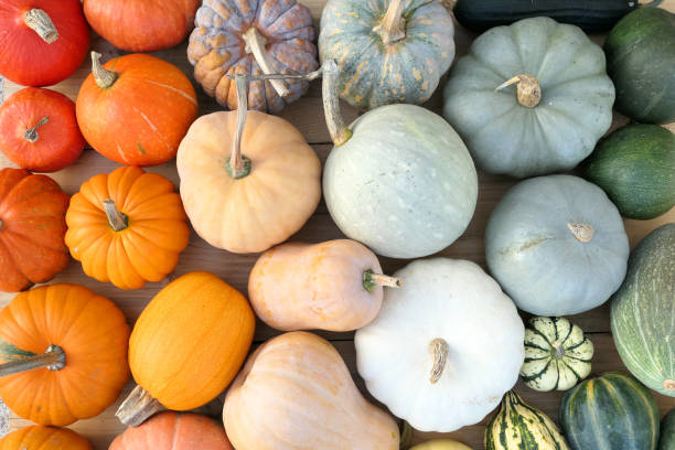 coloridas variedades de calabazas y squashe - october vegeterian food vegetable fotografías e imágenes de stock