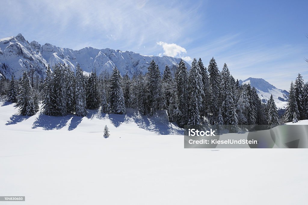 Paisaje invernal - Foto de stock de Aire libre libre de derechos