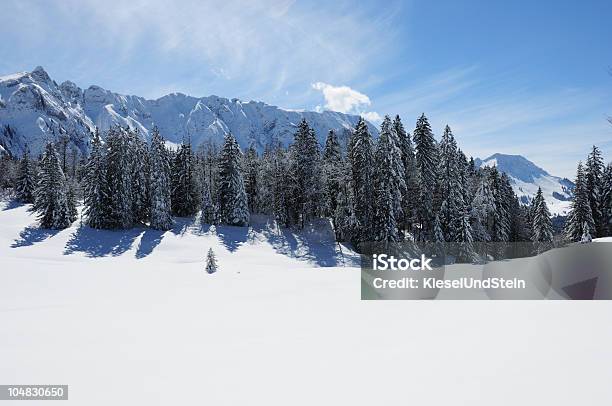 Paisaje Invernal Foto de stock y más banco de imágenes de Aire libre - Aire libre, Alpes Europeos, Alpes suizos