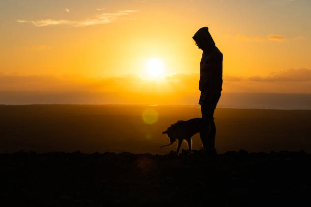 istock girl playing with her puppy dog 1048309306