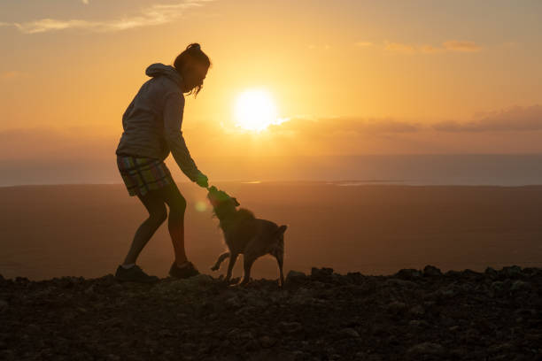 istock girl playing with her puppy dog 1048309310