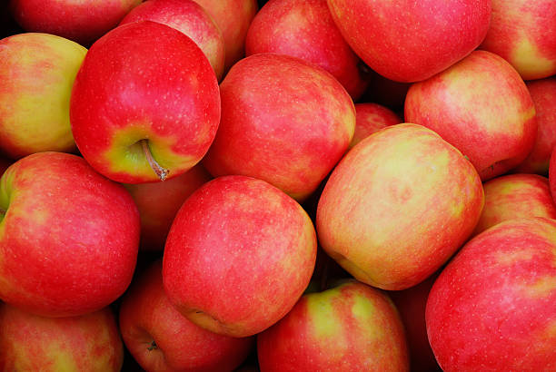 istock Close up of many ripe red apples 104831793
