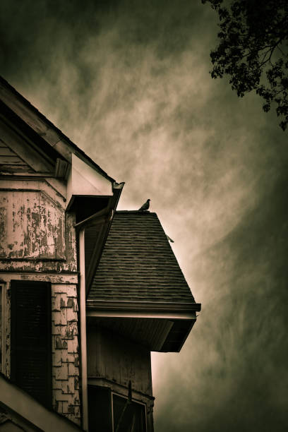 istock Creepy Old House Details 1048318076