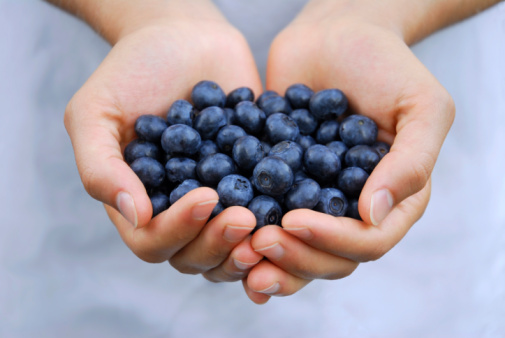 A handful of freshly picked ripe blueberries