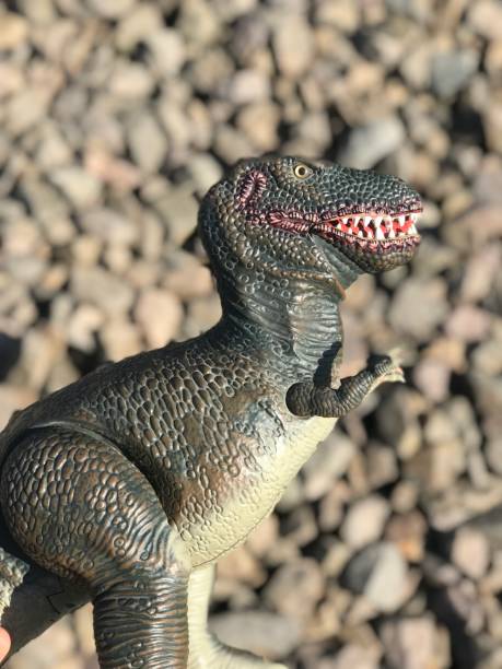 istock Tyrannosaurus rex  isolated on the background 1048321934
