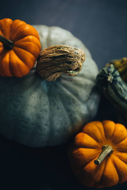 Variety Of Gourd, Squash And Pumpkin stock photo
