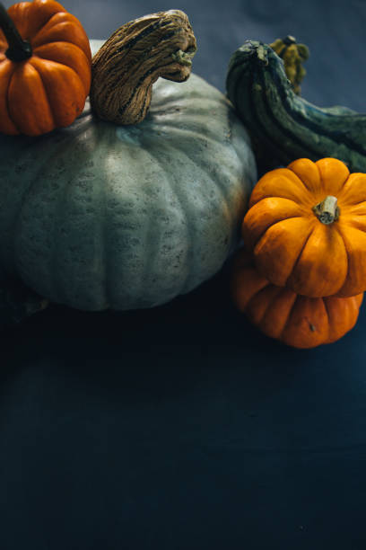 istock Variety Of Gourd, Squash And Pumpkin 1048322470