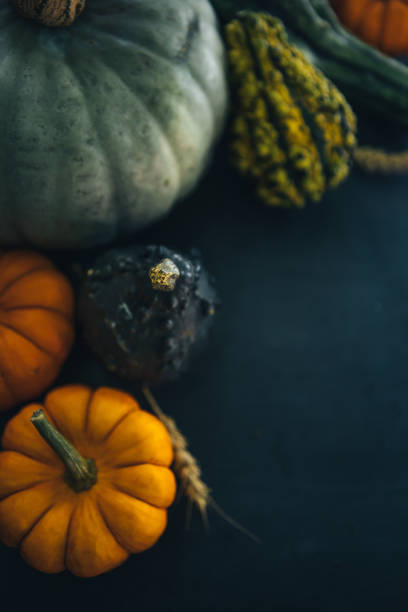 Halloween is coming! Variety of gourd, squash and pumpkin on a dark setting.