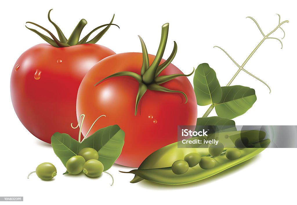 Tomatoes with ripe peas Photo-realistic vector illustration. Tomatoes with ripe peas. Color Image stock vector