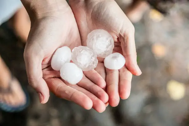 very large hail in the hands