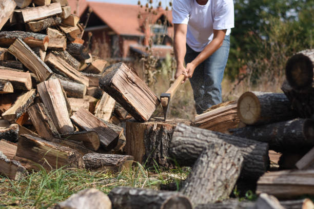 istock Lumberjack chopping wood for winter 1048327382