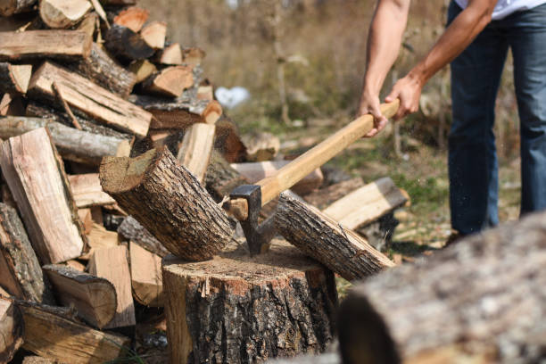 istock Lumberjack chopping wood for winter 1048327734