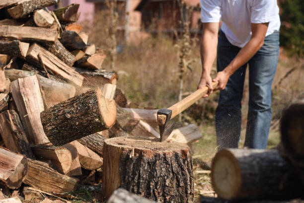 istock Lumberjack chopping wood for winter 1048327742