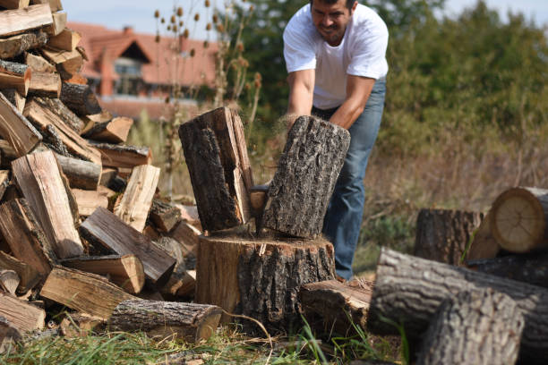 istock Lumberjack chopping wood for winter 1048330730