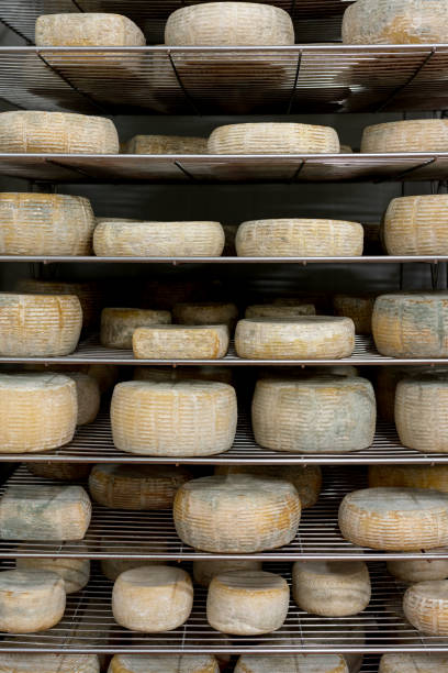 istock artisanal cheese ripening room 1048331084