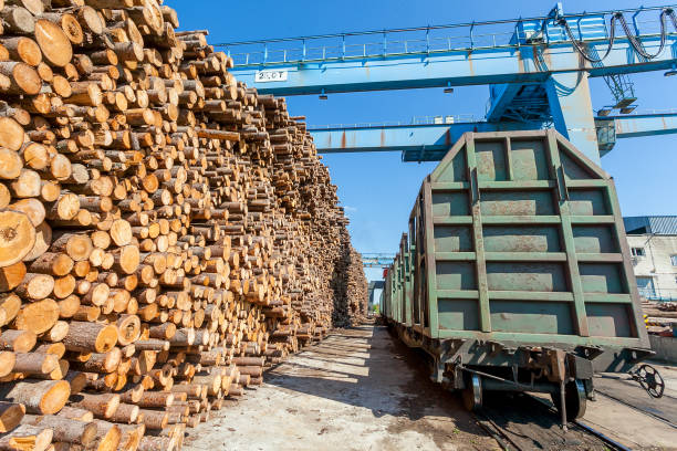 istock the wood yard at a pulp and paper mill 1048332312
