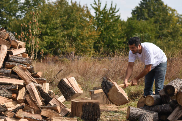 istock Lumberjack chopping wood for winter 1048333096