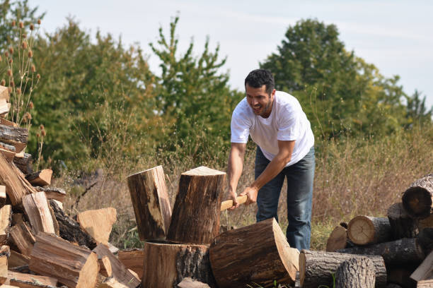 istock Lumberjack chopping wood for winter 1048333494