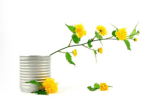 Yellow flowers in vase stock photo