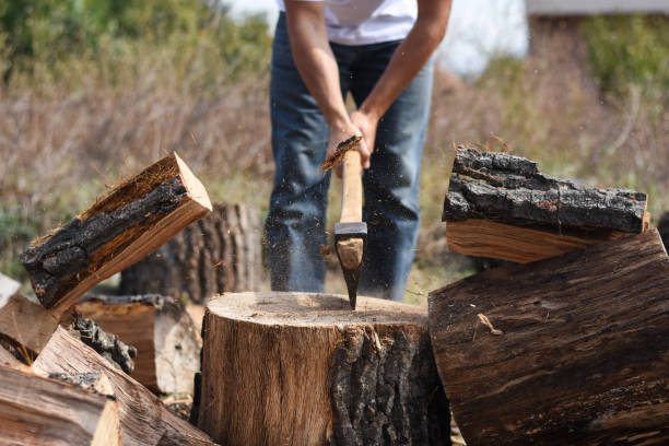istock Lumberjack chopping wood for winter 1048336838