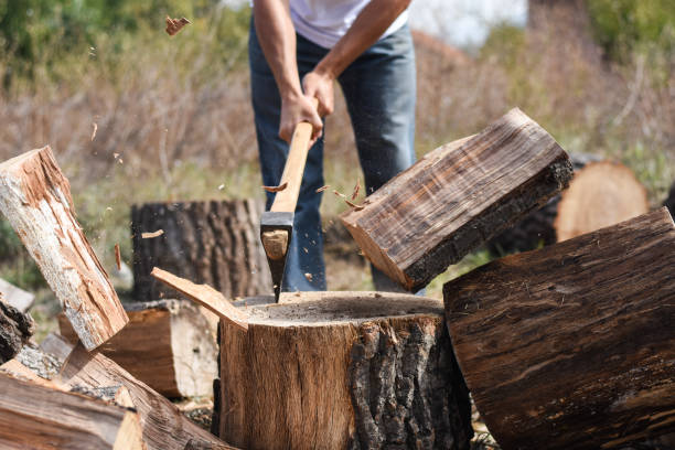 istock Lumberjack chopping wood for winter 1048339226