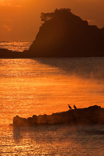 istock Morning in the beach 104834011