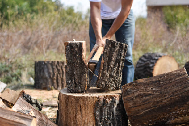 istock Lumberjack chopping wood for winter 1048341566