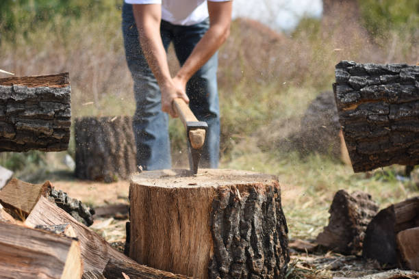 istock Lumberjack chopping wood for winter 1048343692