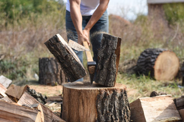 istock Lumberjack chopping wood for winter 1048343784