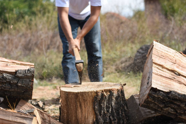 istock Lumberjack chopping wood for winter 1048343944