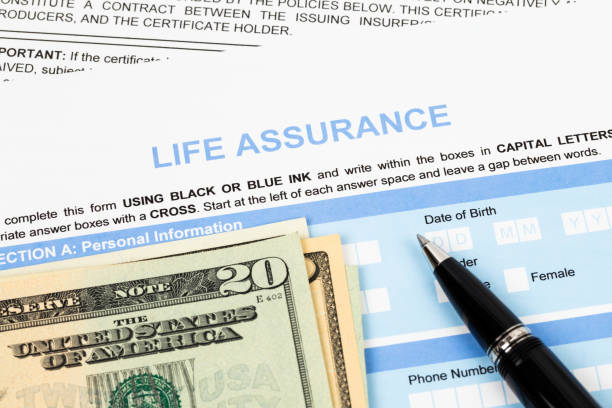 istock Life assurance application form with banknote and pen concept for life planning 1048345286