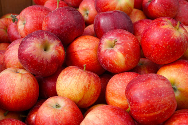 istock A bunch of red ripe apples 1048349692
