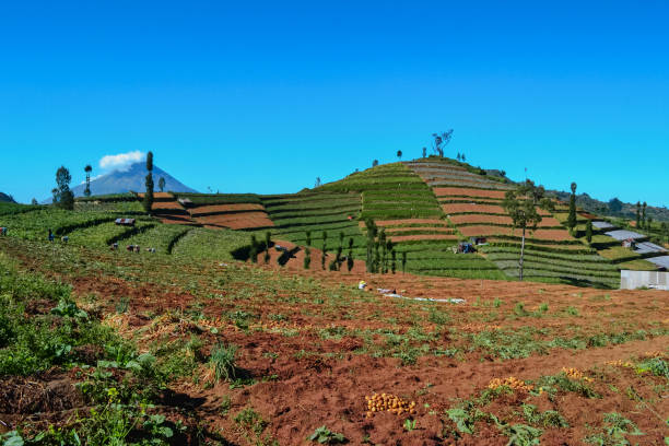 istock fertile land under the mountain 1048352526
