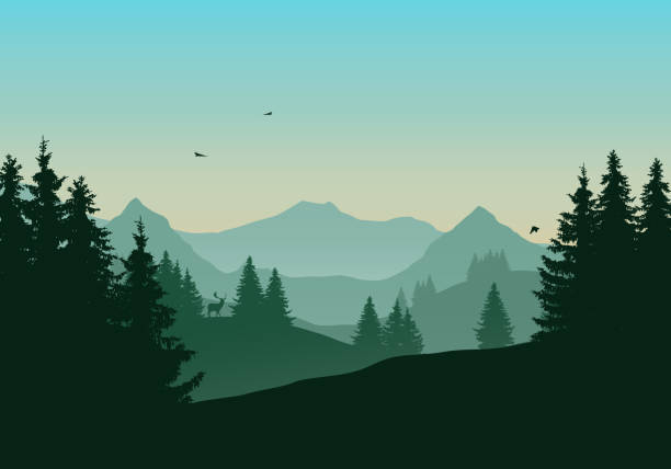 緑の朝または夕方の空の下で飛んでいる鳥鹿と針葉樹林の山の風景のベクトル イラスト - autumn backgrounds dawn dusk点のイラスト素材／クリップアート素材／マンガ素材／アイコン素材
