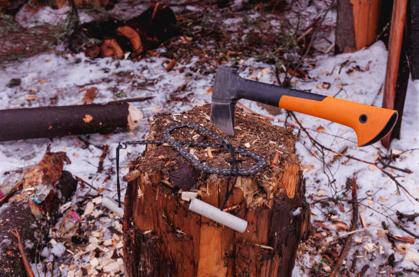 Ax and chain saw. Wood Stump. Top.