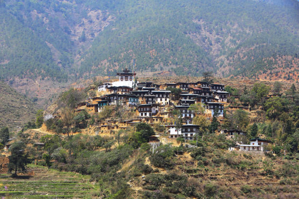 istock Wangdi Dzongkhag village in Bhutan. 1048376808